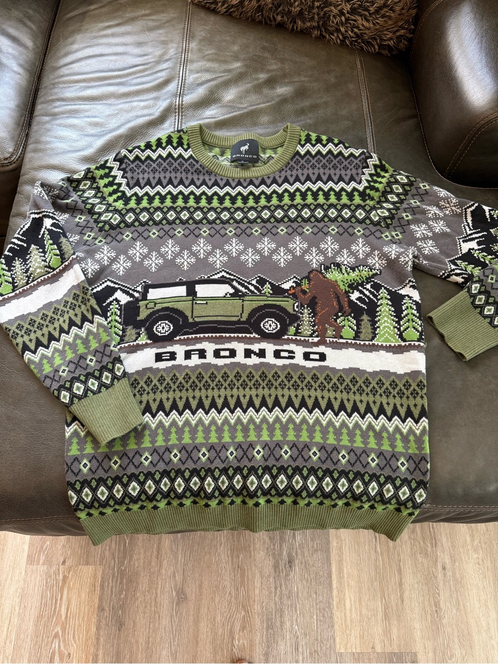 Bronco Graphic Fair Isle Holiday Sweater - Olive & Gray